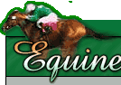 EquineIndia - The Premier horse racing portal